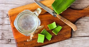 Aloe Vera Juice: Benefits of Drinking it