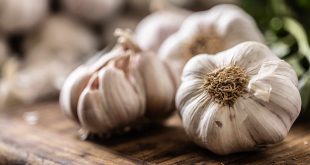 Garlic health benefits you need to know