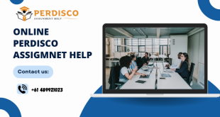 Perdisco Assignments Online by using Expert Assistance
