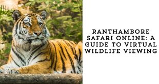 Ranthambore Safari Online A Guide to Virtual Wildlife Viewing