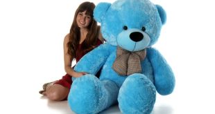 Top Unique Teddy Bears Every Teddy Bear Lover Must Have