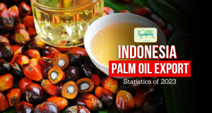 indonesia palm oil export