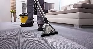 carpet cleaning hendersonville nc