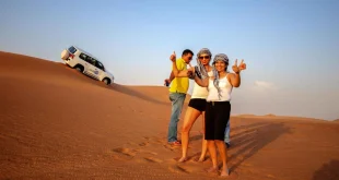 Exploring the Magic of Safari Desert Dubai