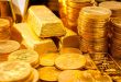 Gold Coins Long-Term Investment Strategy