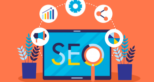 7 Tips for Choosing the Perfect SEO Agency for Your Business in 2024