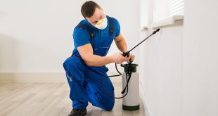 Pest Control Comprehensive Guide Bed Bug Treatment and More