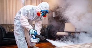 Fumigation Services in Islamabad Comprehensive Pest Control