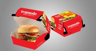 Beyond the Bun: The Essential Guide to Burger Packaging Boxes