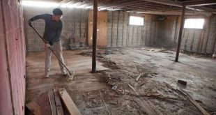 Basement Cleanup Services in Mentor