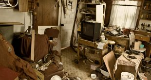 hoarder house clean out services