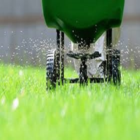 Lawn Fertilization Messa az