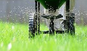 Lawn Fertilization Messa az