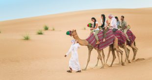 Dubai Desert Safari Tours