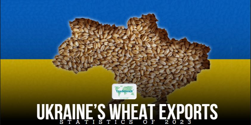 Ukriane grain exports