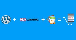 WooCommerce Ecommerce