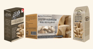 Mushroom Boxes