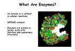 what is Enzyme