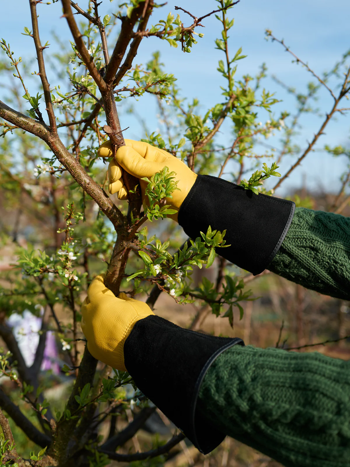 best gardening gloves for thorns