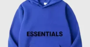 essentials hoodie