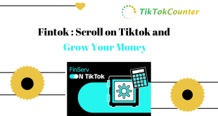 Fintok : Scroll on Tiktok and Grow Your Money