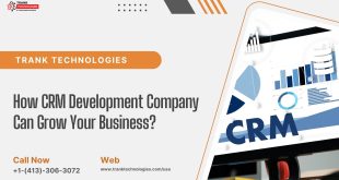 CRM Development Company