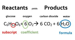 Significance of Balanced Chemical Equations in Chemistry