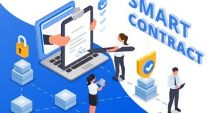 Smart Contract Development