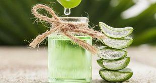 What Are The Health Benefits Of Aloe Vera?