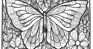 coloring pages