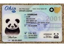 ohio drivers license template