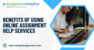 Assignment help Brisbane online