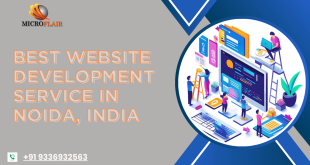 Best website development service in noida