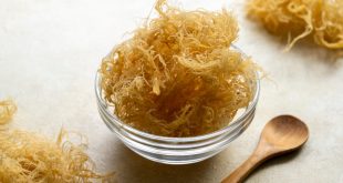 Irish Moss