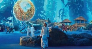 Experiences at SeaWorld