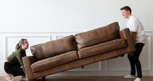 Sofa Styles Uncovered