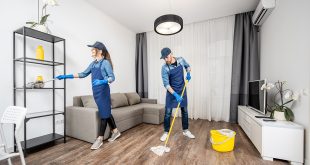 Professional cleaners in the apaartment