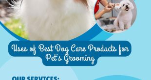 Uses of Best Dog Care Products for Pet’s Grooming