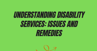 Understanding Disability Services: Issues and Remedies