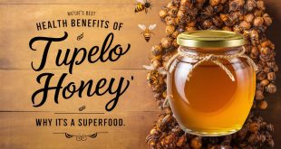 Health Benefits of Tupelo Honey: Why It’s a Superfood