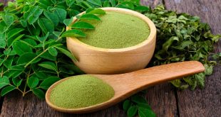 Moringa Powder