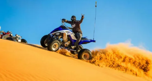 Morning Desert Safari Experiences in Dubai