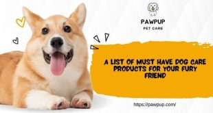 A List of Must Have Dog Care Products for Your Fury Friend