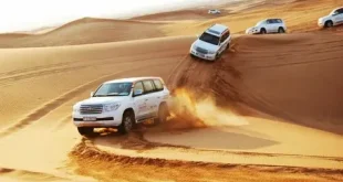 Premium Desert Safari Experiences in Dubai