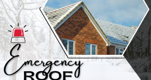 Safeway Roofing London