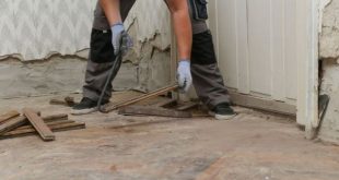 Termite Damage Repair