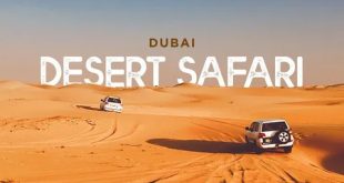 Unveiling the Best Desert Safari Tours in Dubai for 2024