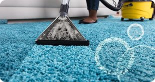 carpet cleaning