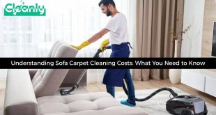 Sofa carpet cleaning cost