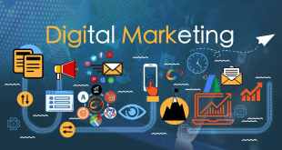 digital marketing insights